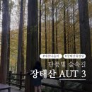 빛이나개 | 대전 가을여행 코스 단풍 절정 장태산 자연휴양림 가을 산책