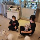 피터펫 애견카페 부산북구점 이미지