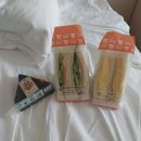 하치이야기 | 내 기가 돌아다니고 있겠지...(부제 : 스카이타워후기 클룩, 일본다이소쇼핑과 자판기 그리고 하치 이야기)