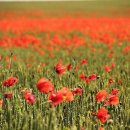 남산골프연습장 이미지