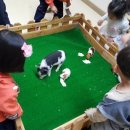 비전휴먼시아어린이집 이미지