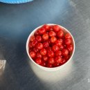 마마트24 이미지