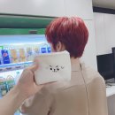 쭈니쭈니