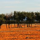 신풍캐빈 이미지