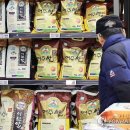 0시마트 디지털타임스