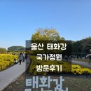 태화강국가정원 | 대한민국 제2호 국가정원, 울산 태화강국가정원 방문후기, 주차꿀팁