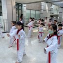 올림픽태권도&줄넘기 이미지