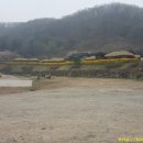 별빛아리수 이미지