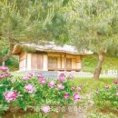 성진로(구34번국도) | [신 김대건·최양업 전] (69) 조선대목구 신학교