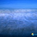 안성시립중앙도서관 전시실 이미지