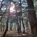 푸른인쇄사 - 동구 | 푸른인쇄사