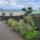 소담이네 돌집 이미지