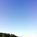 여수바다 - 파주시 | 여수바다