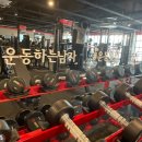 팀스파르타짐 네이버블로그
