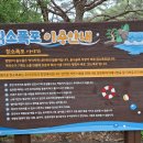 칡소폭포 | [열목어 서식지, 내린천 발원지, 칡소폭포] 홍천여행, 홍천 가볼만한 곳 / 밤을 잊은 그대에게 / 물소리...