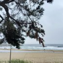 지에스25 38선휴게소점 이미지