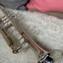 트럼펫 1:1 개인레슨 이미지