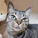 남산동물병원 이미지