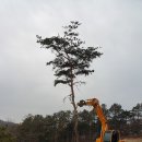 소나무회관 이미지