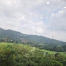 빈장산185무봉산352무봉산정상석봉356보라산[1]205보라산[2]213두암산121용뫼산168멱조산[1]255멱조산[2]263/경기용인 이미지