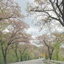 다문화카페 아오바바 협동조합 이미지