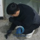 세정태권도장 | [부천 옥길동 퇴거 청소] 바닥 본드 제거 + 복원작업 - SNC 종합 클리닝