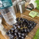 윤 오토캠핑장 이미지