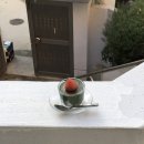 프리덤샵