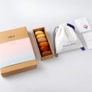 놀디스튜디오