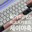 F65 | 독거미키보드 F65 세이야축 타건음:백라이트 상세한 후기