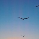 행정용 7 이미지