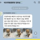 네오펫동물메디컬센터 이미지