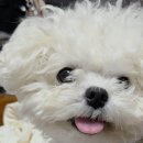 뚜레쥬르 부산덕천로터리점 이미지