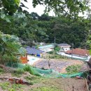 신방리경로당 이미지