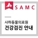 사하동물의료원 네이버블로그