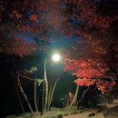 허준테마거리 이미지