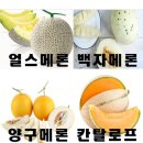 김성곤농장 이미지