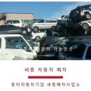 세종 자동차 이미지