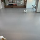 딩동댕 애견카페 이미지