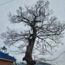 외덕경로당 이미지