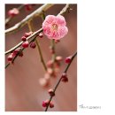 기쁨공인중개사사무소 이미지