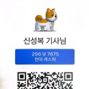pet296보7675 이미지