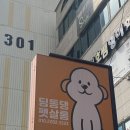 딩동댕 살롱 | 구미 애견 미용 | 호텔 | 형곡동 딩동댕 펫살롱 강아지 미용 솔직 후기
