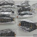 정가네김밥 이미지