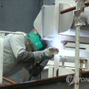 양지장 이미지