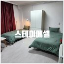 스테이에셀 이미지