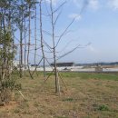 구지면사무소 이미지