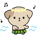 개운하개 이미지