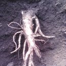 묘하우스 이미지