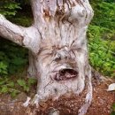 강냉이PC 이미지